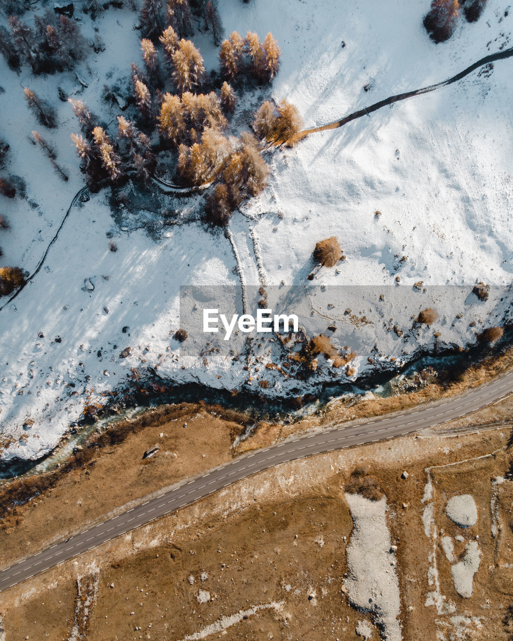 High angle view of frozen trees on land