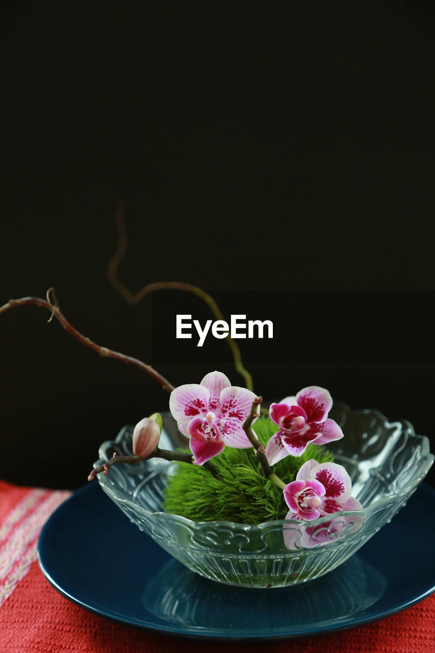 CLOSE-UP OF PINK FLOWERS ON TABLE