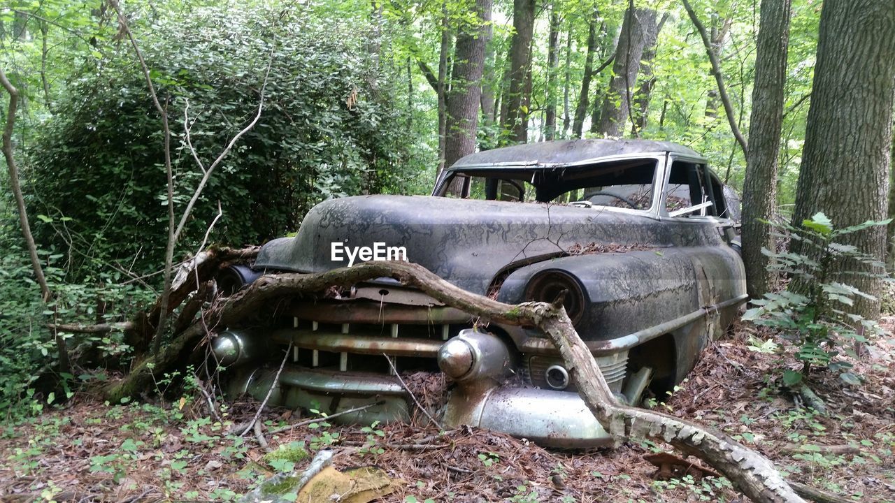 Old vintage car in forest