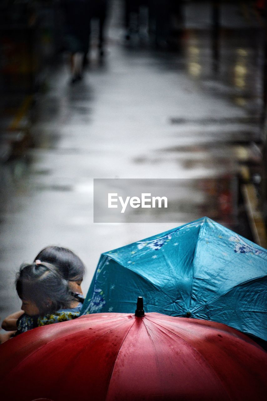 VIEW OF BIRD ON WET ROAD