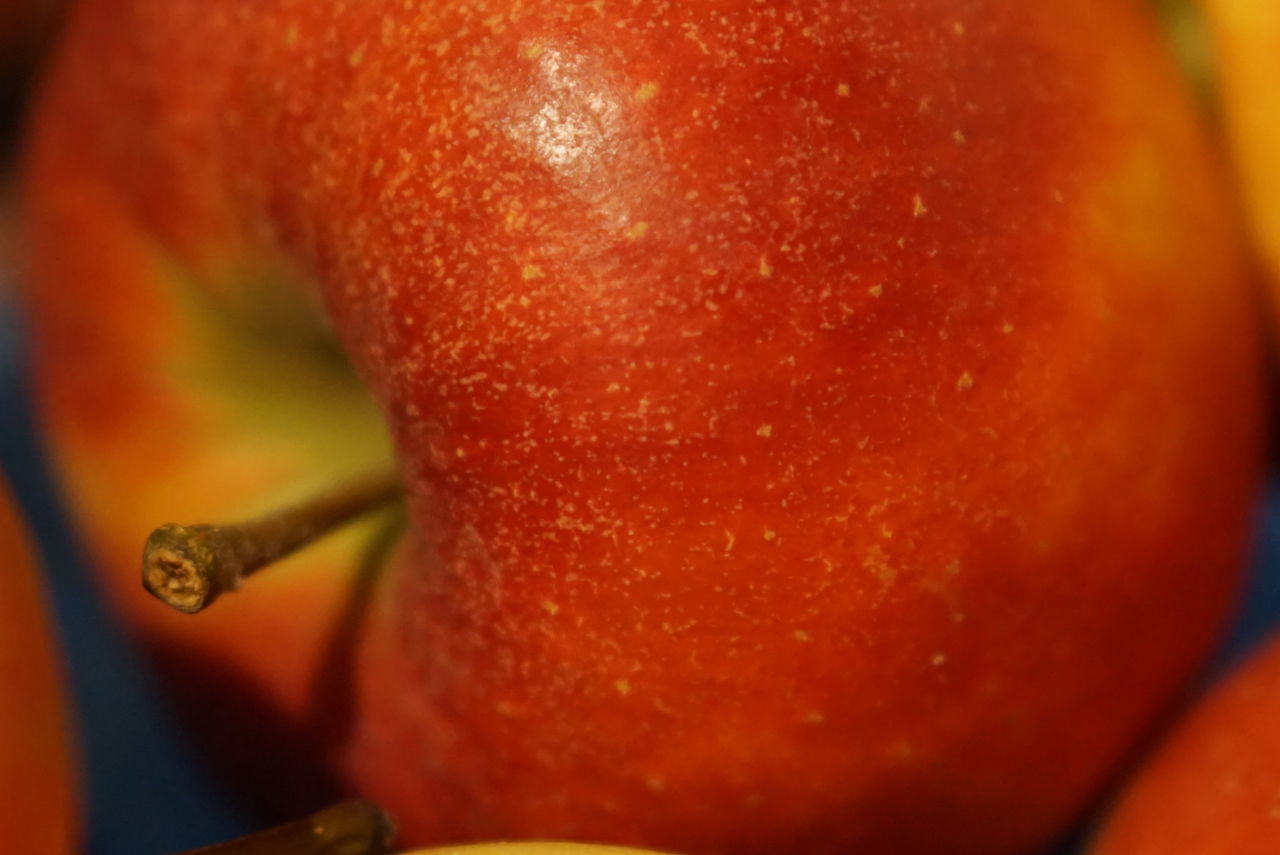 close-up, macro photography, produce, food and drink, food, healthy eating, fruit, plant, yellow, wellbeing, orange, freshness, orange color, flower, red, extreme close-up, no people, indoors