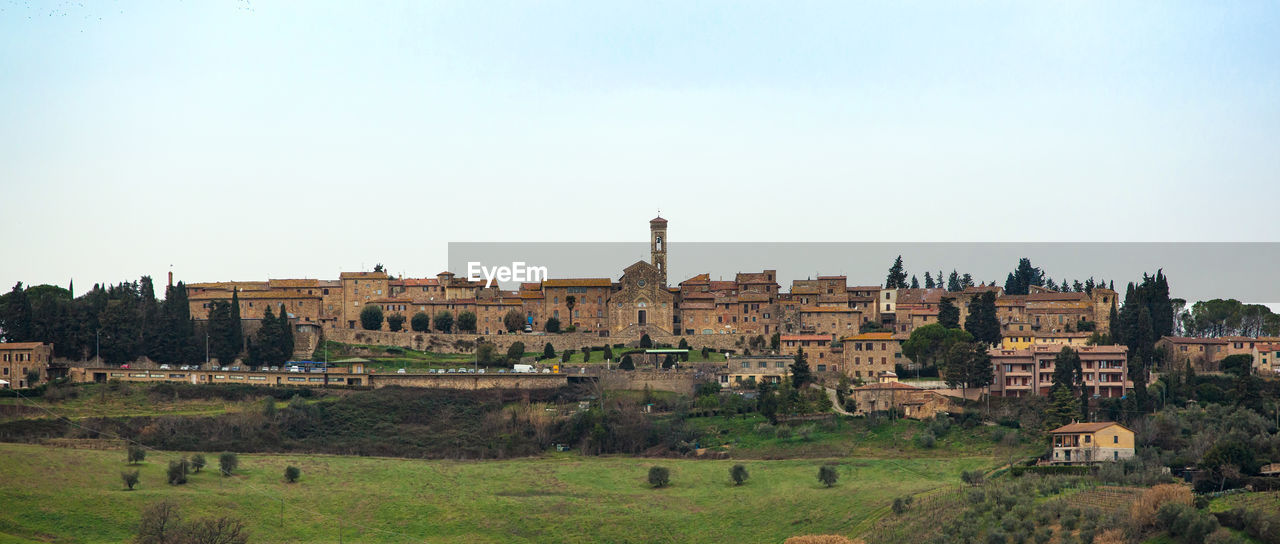 Tuscany hills rural countryside landscape, cypress passages and vineyards. wheat, olives cultivation