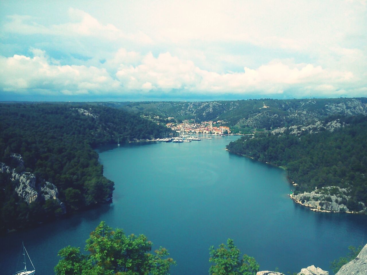 High angle view of lake along lush foliage