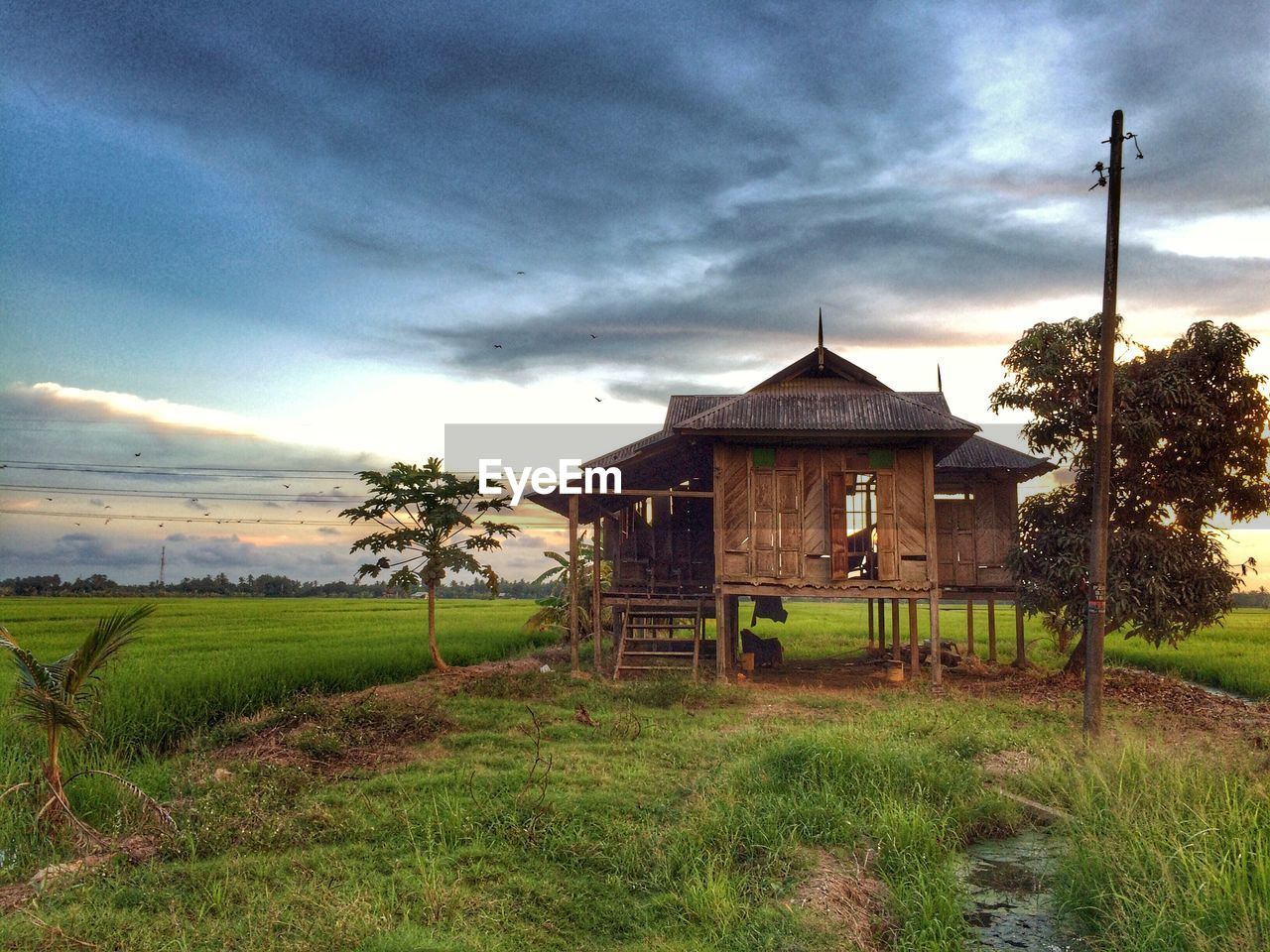 House on field against sky