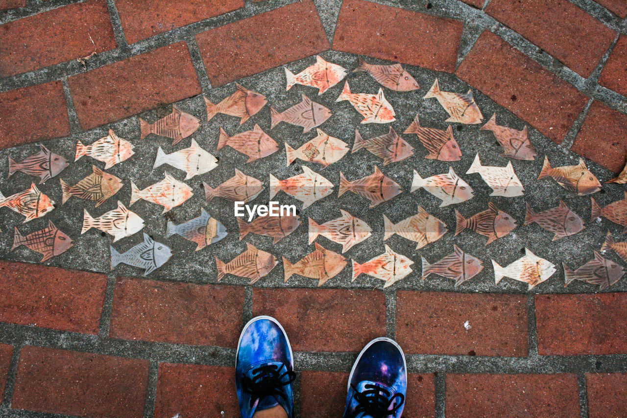 Low section of person standing by fish shape tiles on footpath