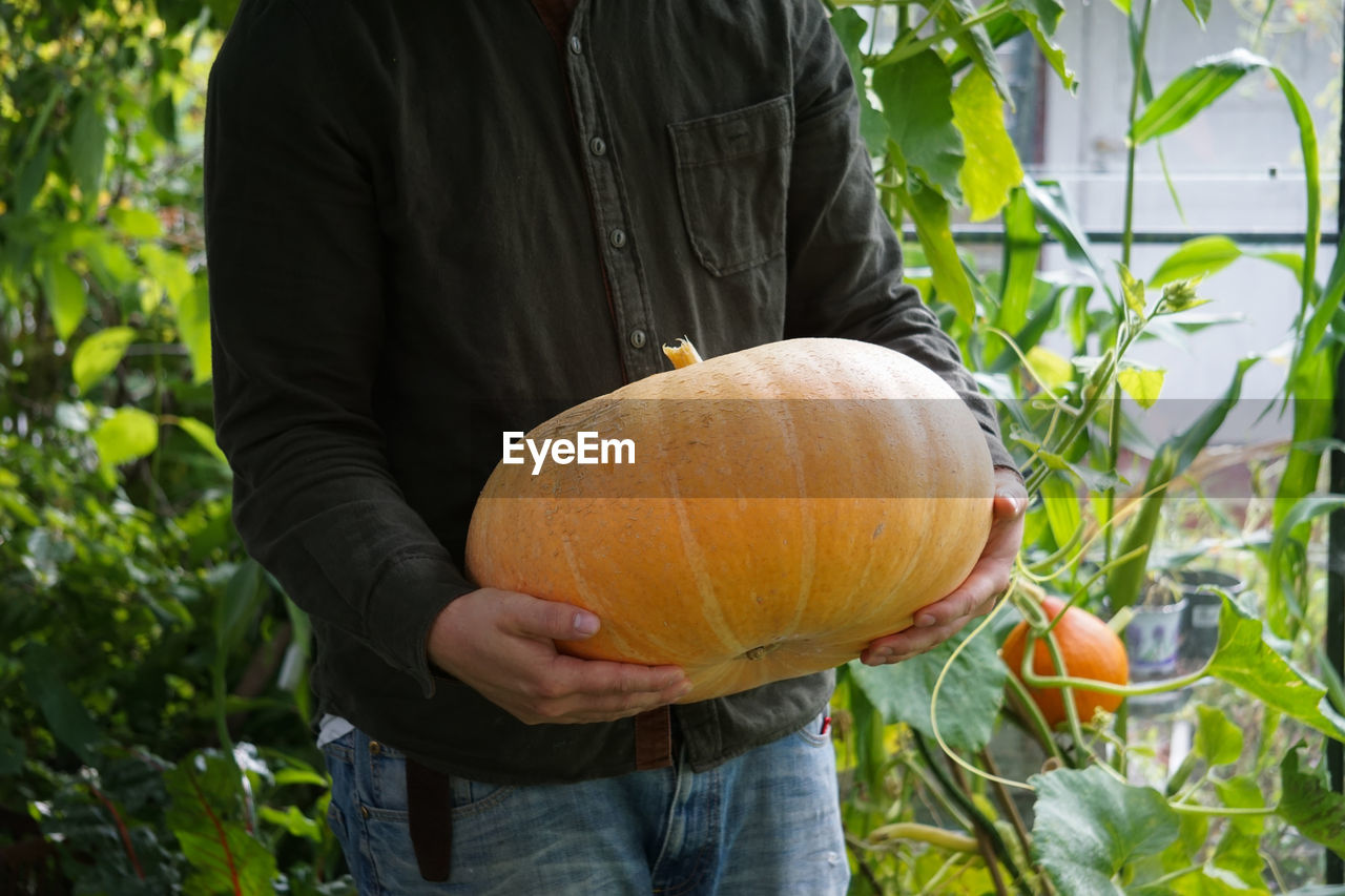 Midsection of man holding pumpkin