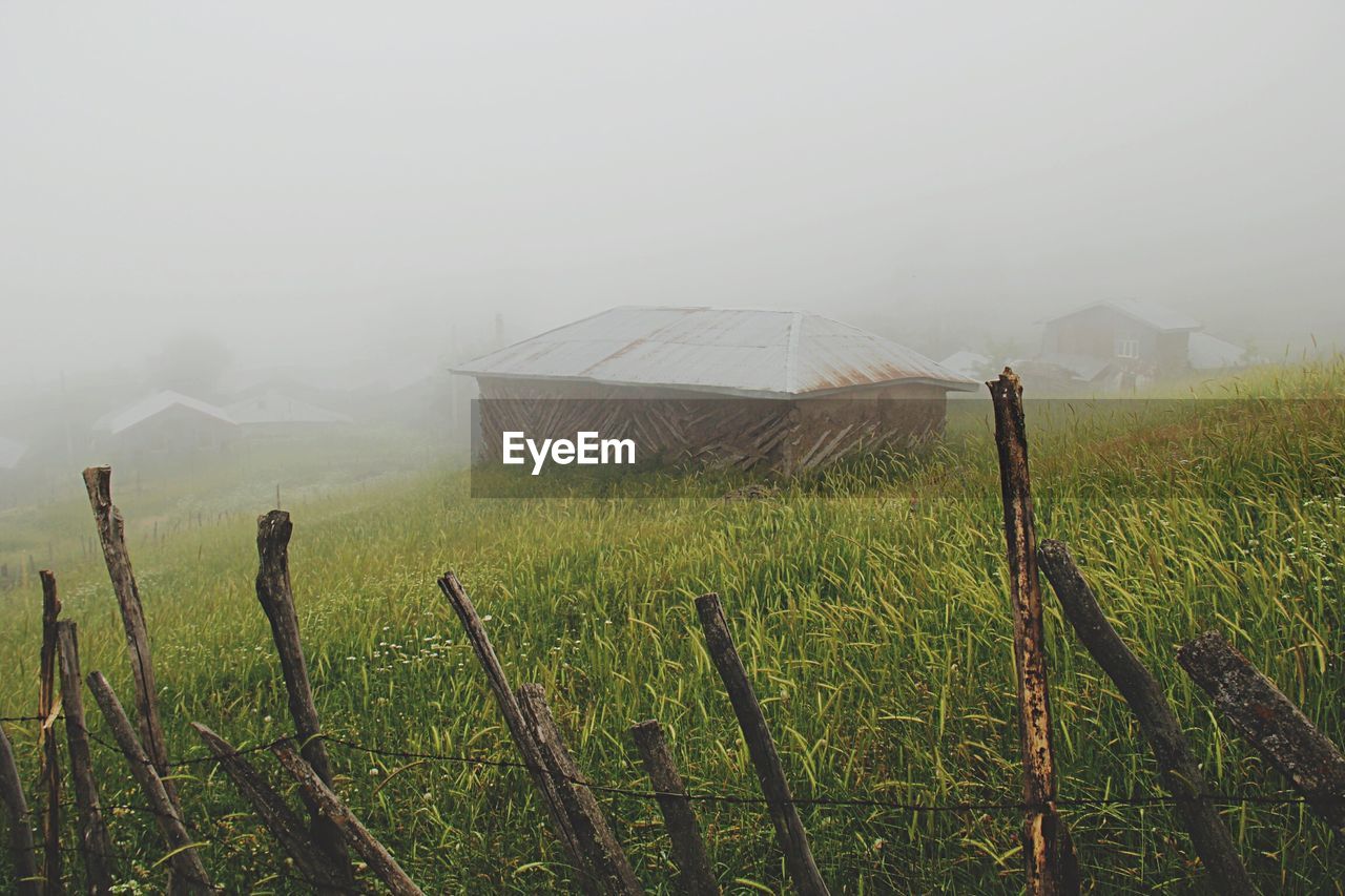 Barn amidst crops on farm in foggy weather