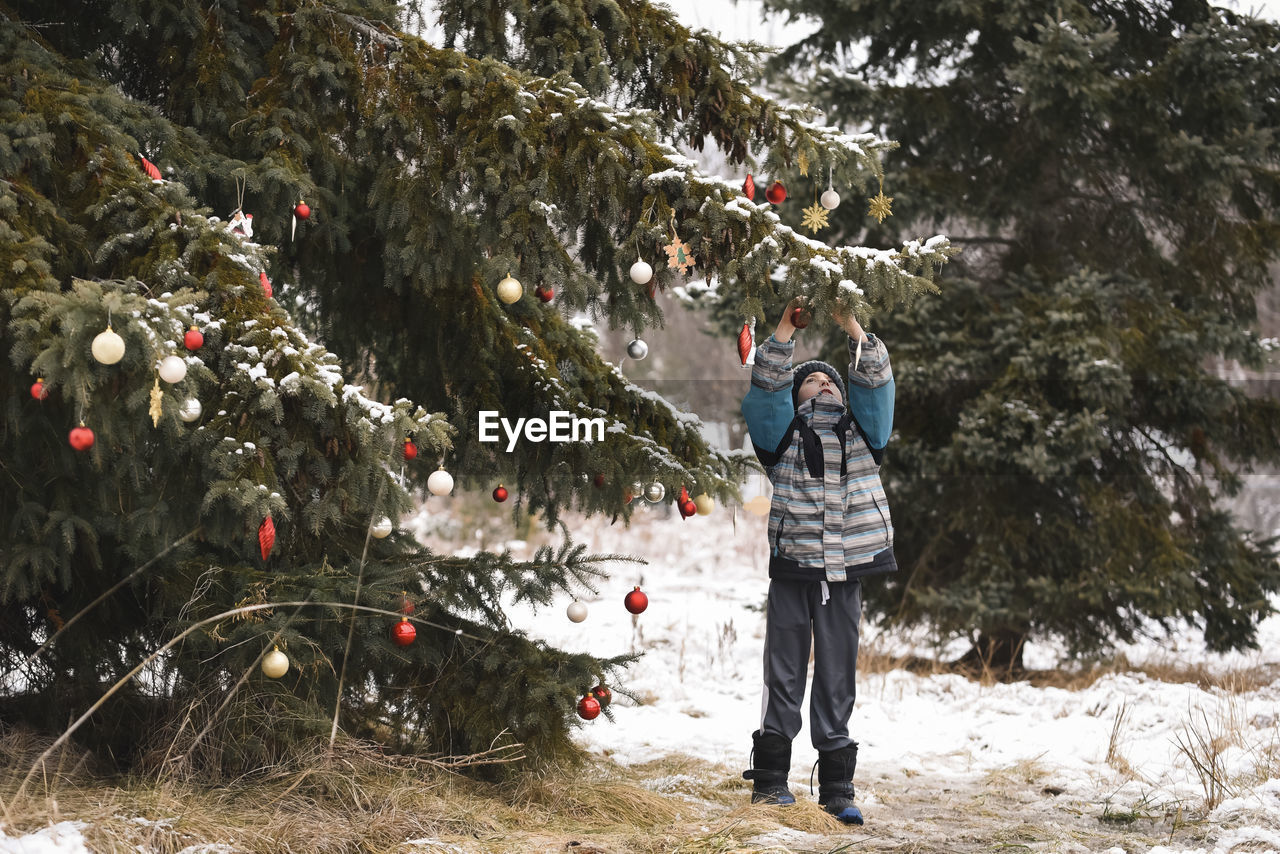 Young boy decorating evergreen tree outdoors with christmas balls.