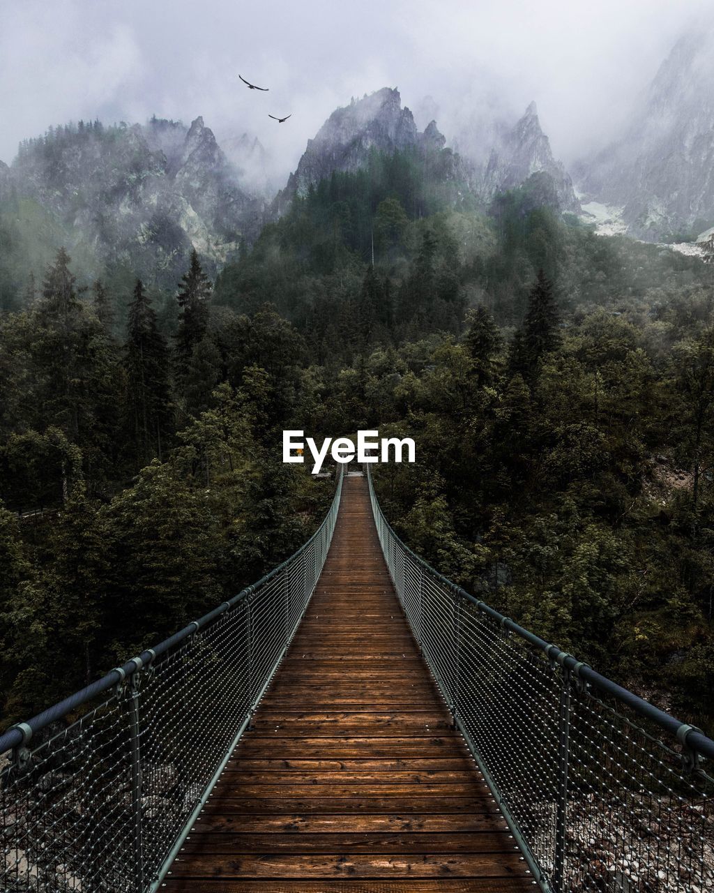 Footbridge amidst trees in forest against sky