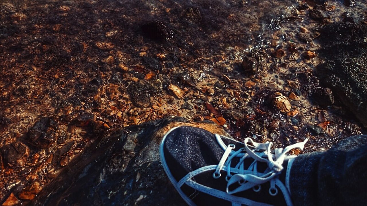 Close-up of person on shore