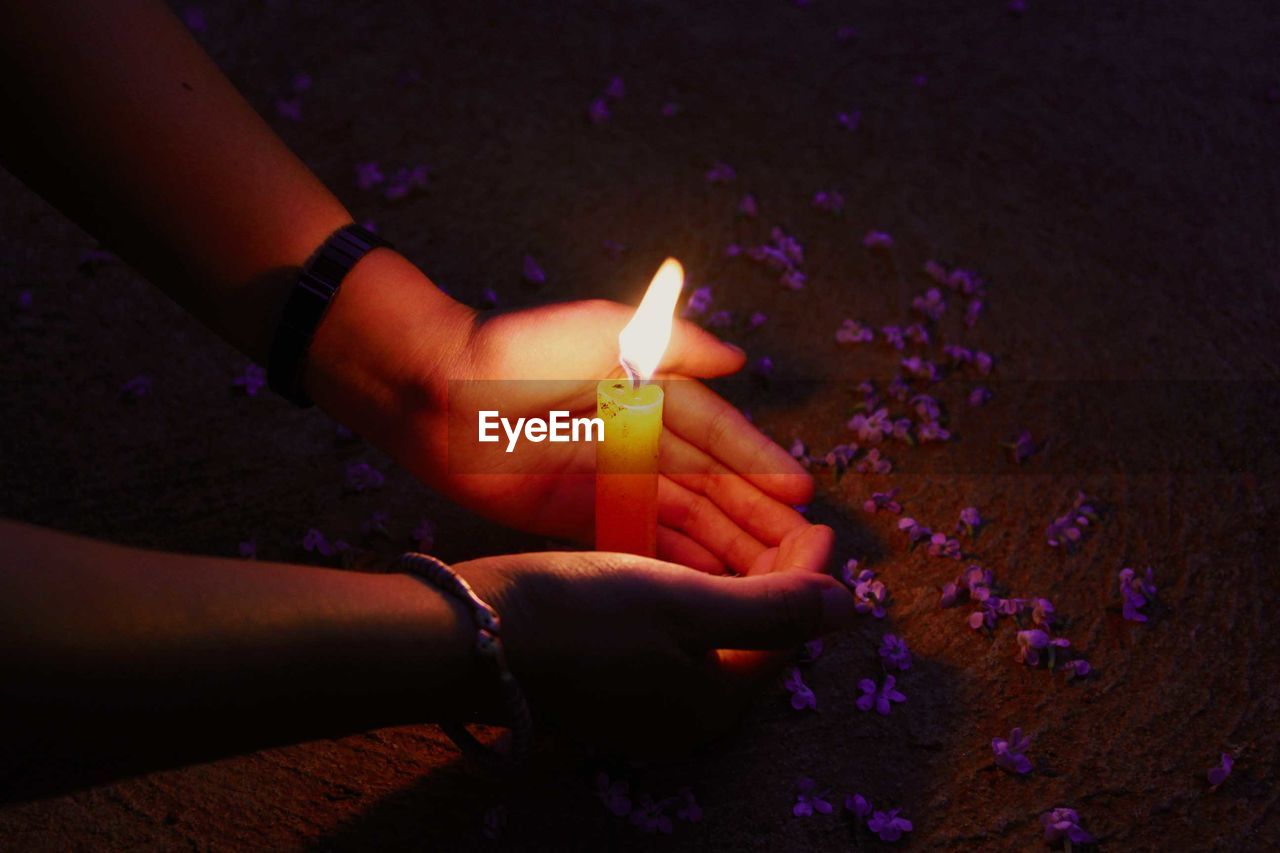 Close-up of hand shielding lit candle by purple flowers