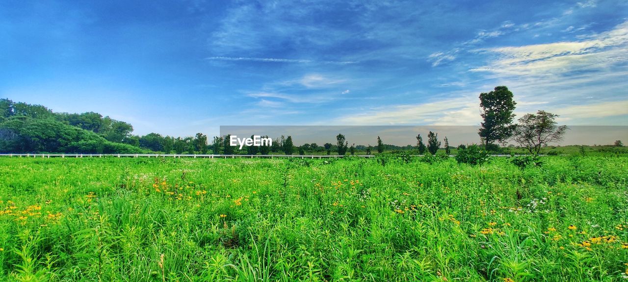 SCENIC VIEW OF LAND AGAINST SKY