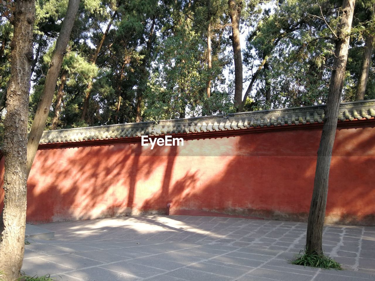 FOOTPATH BY TREES ON WALL