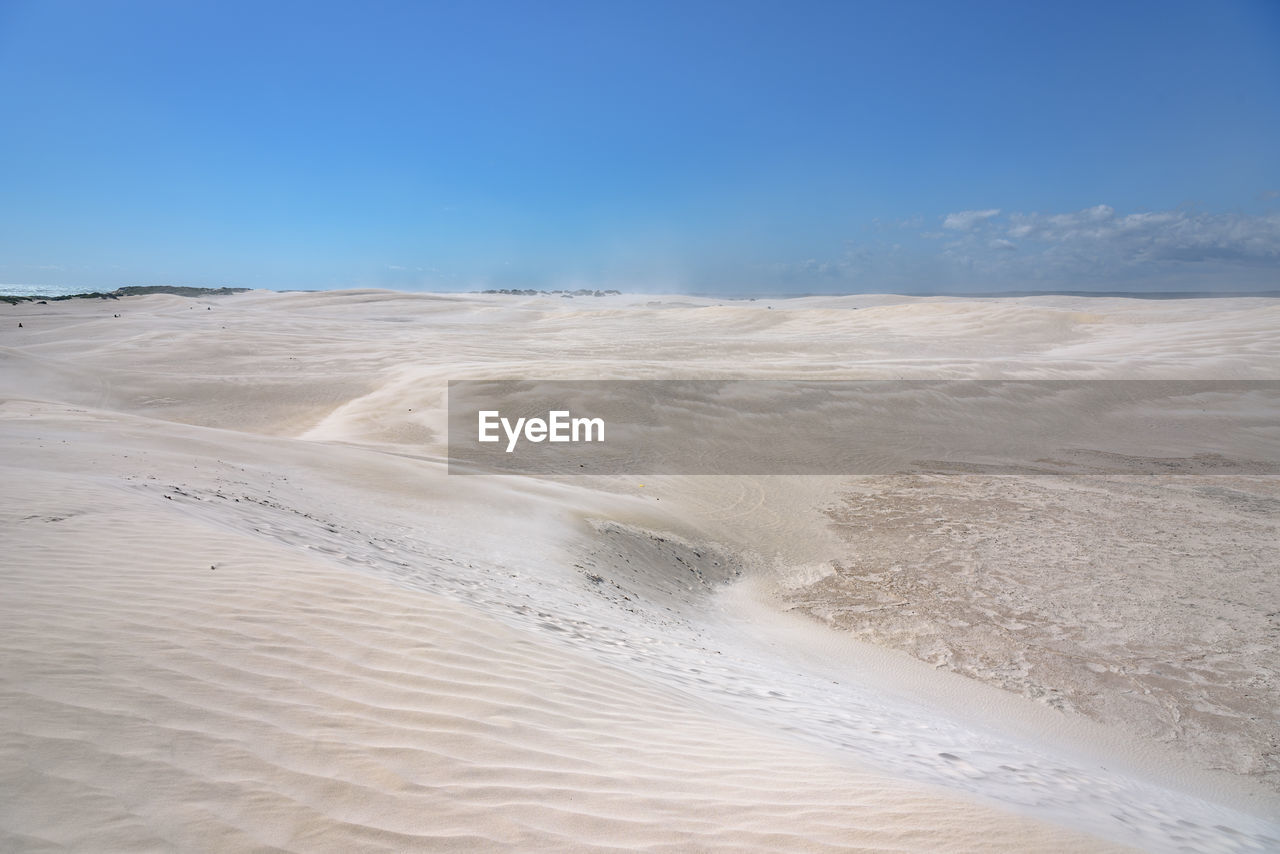 SCENIC VIEW OF BEACH AGAINST CLEAR SKY