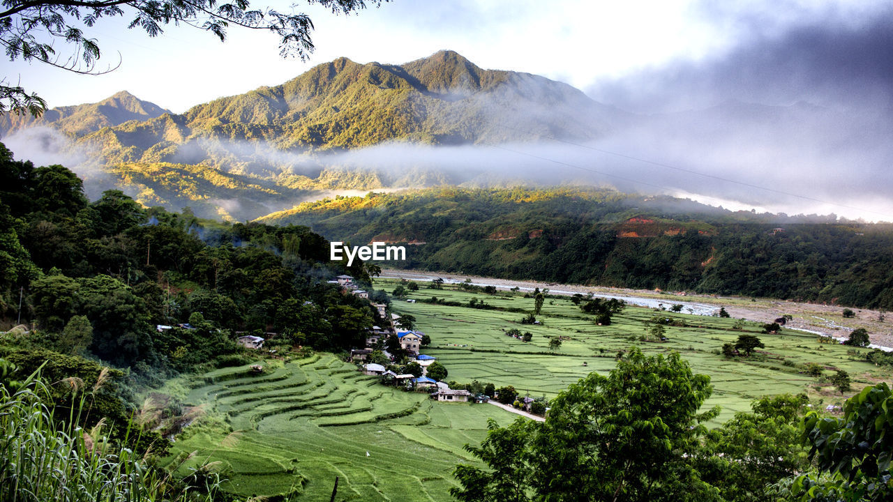 High angle view of trees on landscape against sky