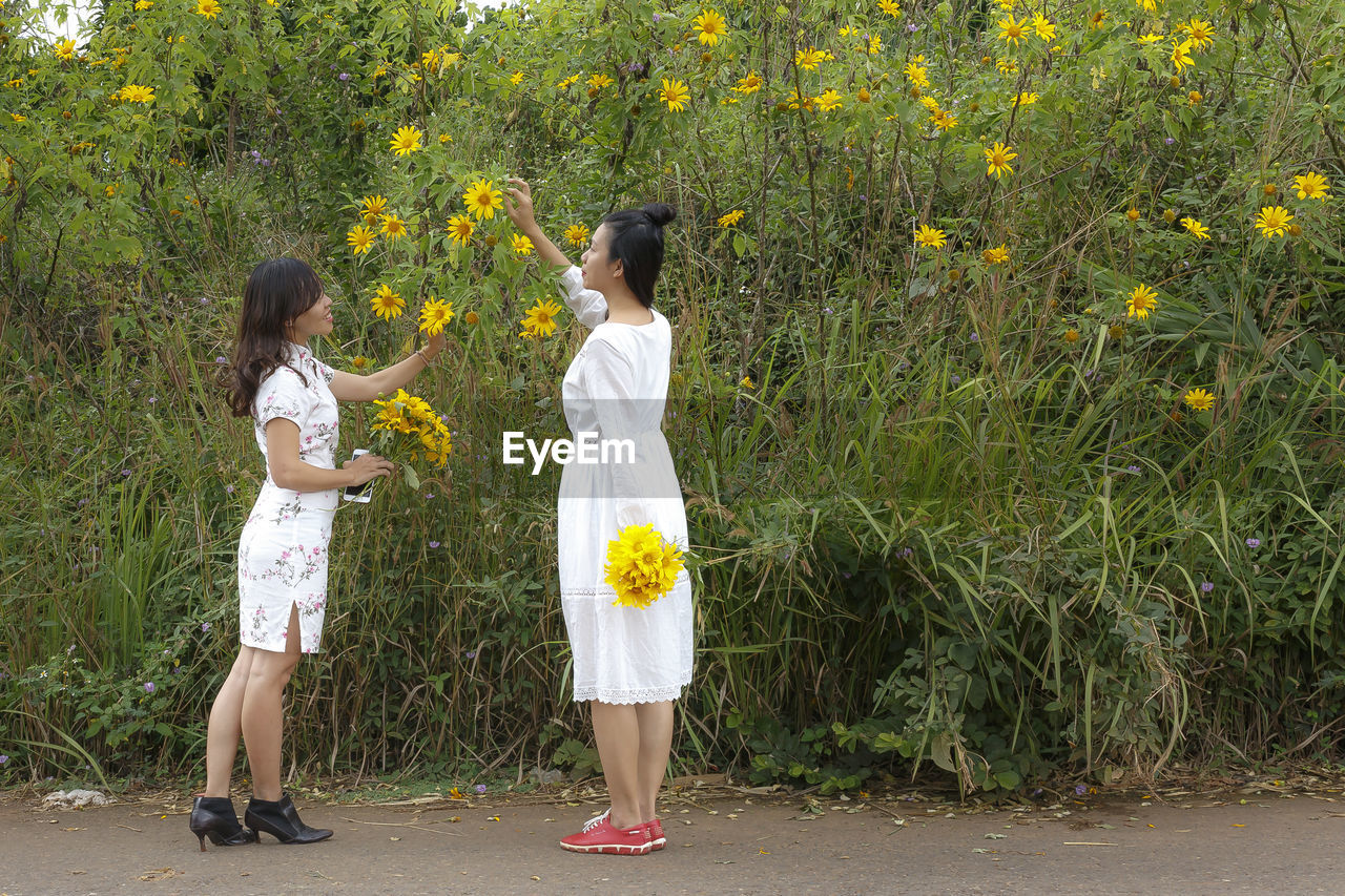 WOMAN STANDING ON YELLOW FLOWER