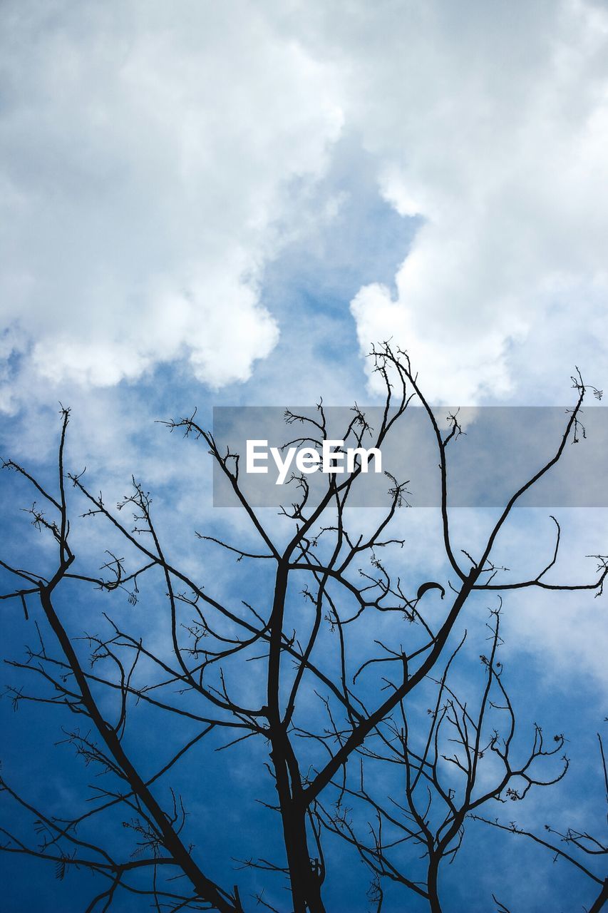 Low angle view of bare tree against cloudy sky