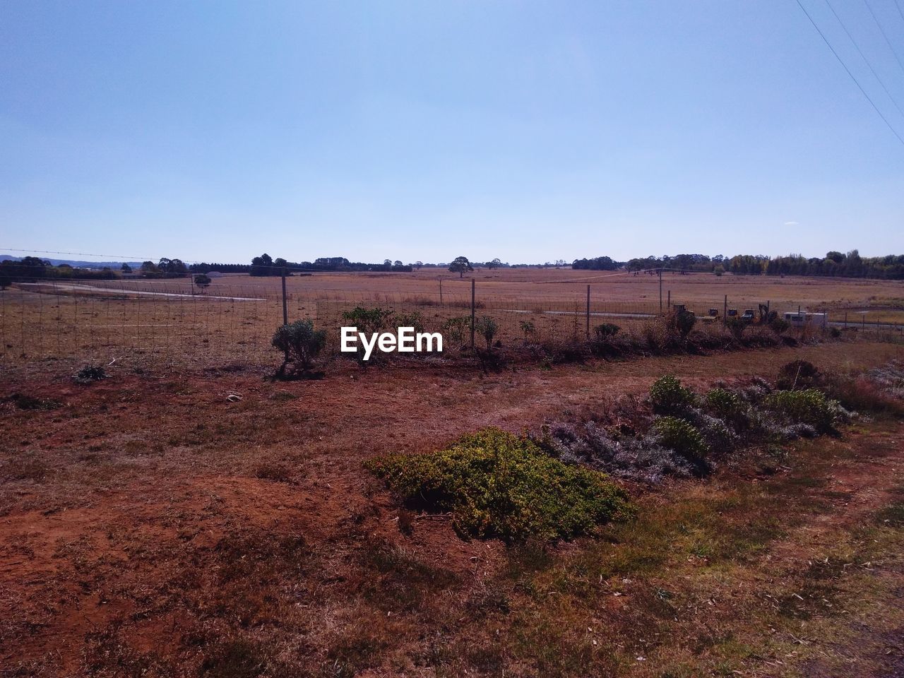 Scenic view of field against clear sky