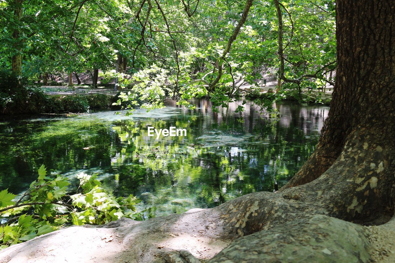 SCENIC VIEW OF LAKE