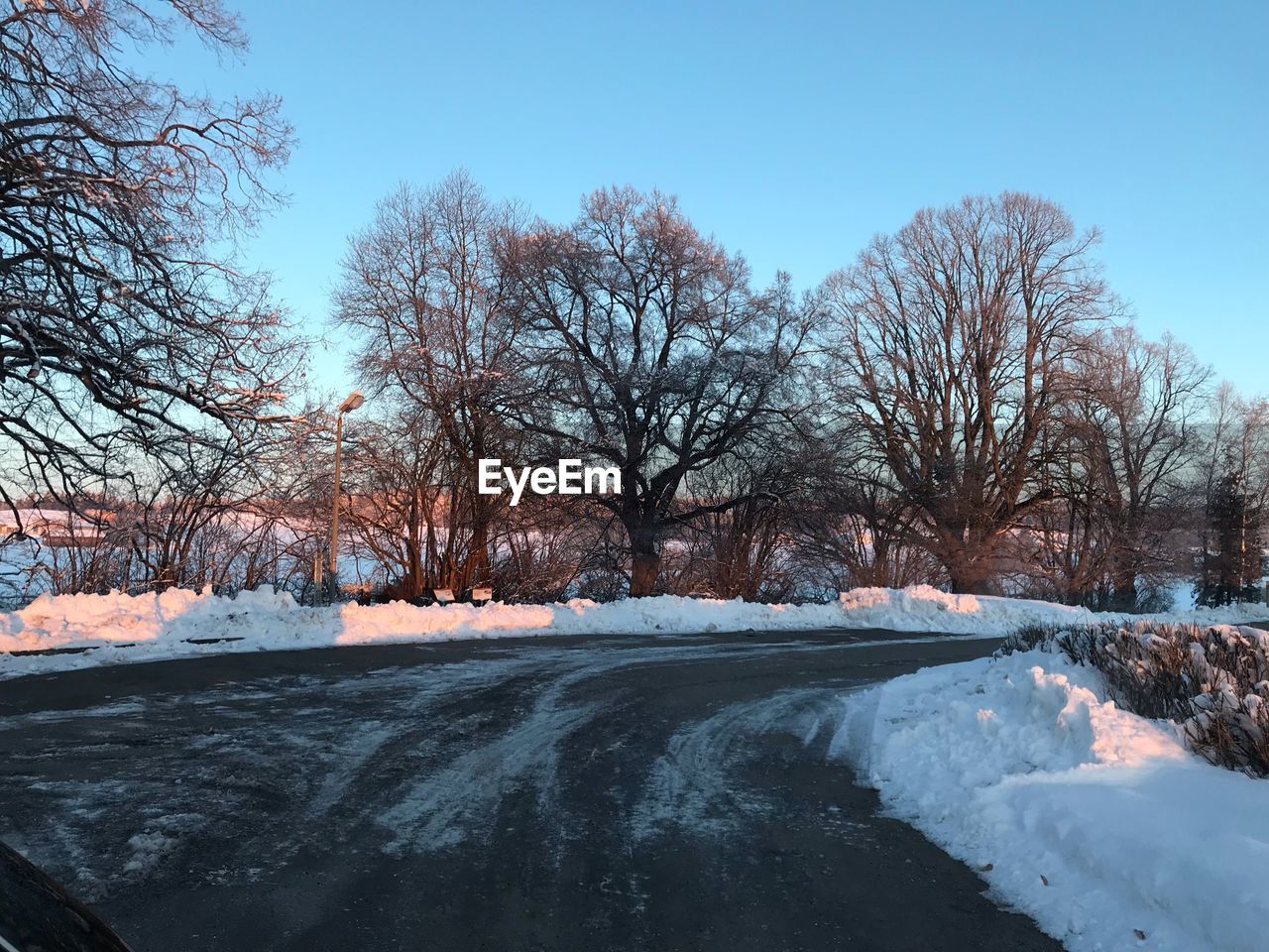 SNOW COVERED TREES AGAINST SKY