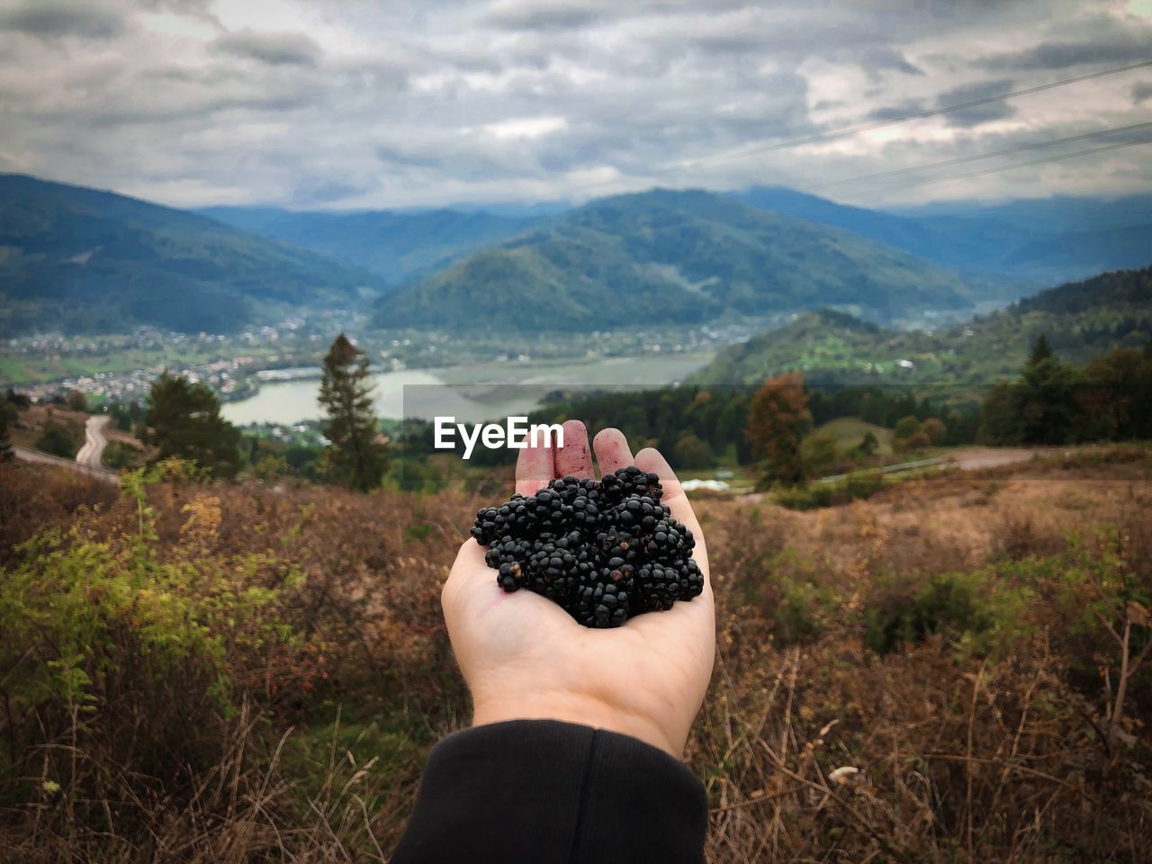Hand holding blackberries against landscape of mountains
