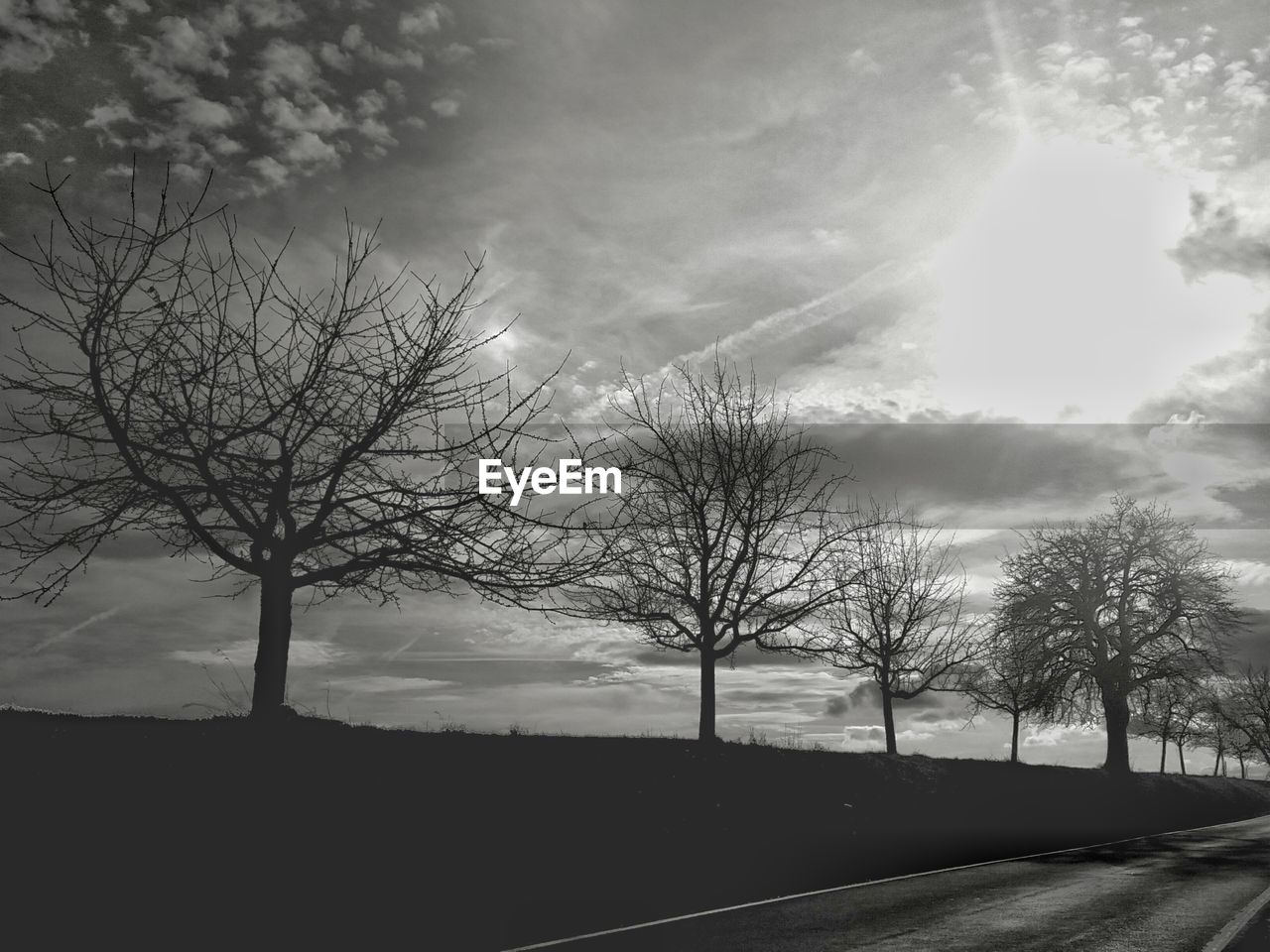 SILHOUETTE OF BARE TREES AGAINST SKY