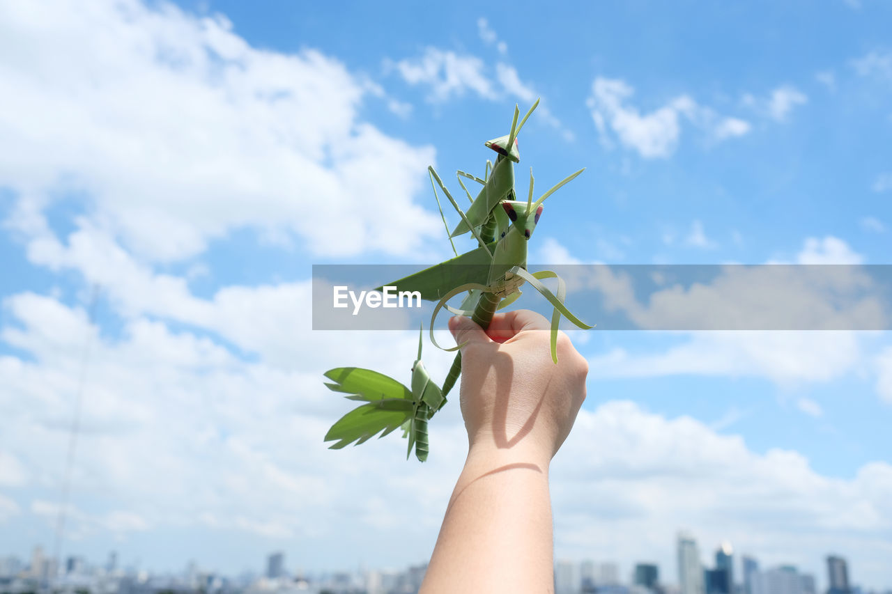 Cropped hand holding grasshoppers made from leaves against sky