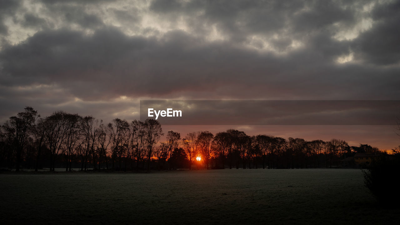 SILHOUETTE TREES BY PLANTS AGAINST SKY DURING SUNSET