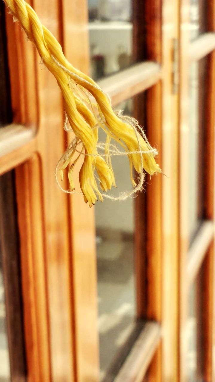 CLOSE-UP OF YELLOW FLOWER HANGING ON WOOD IN SHELF