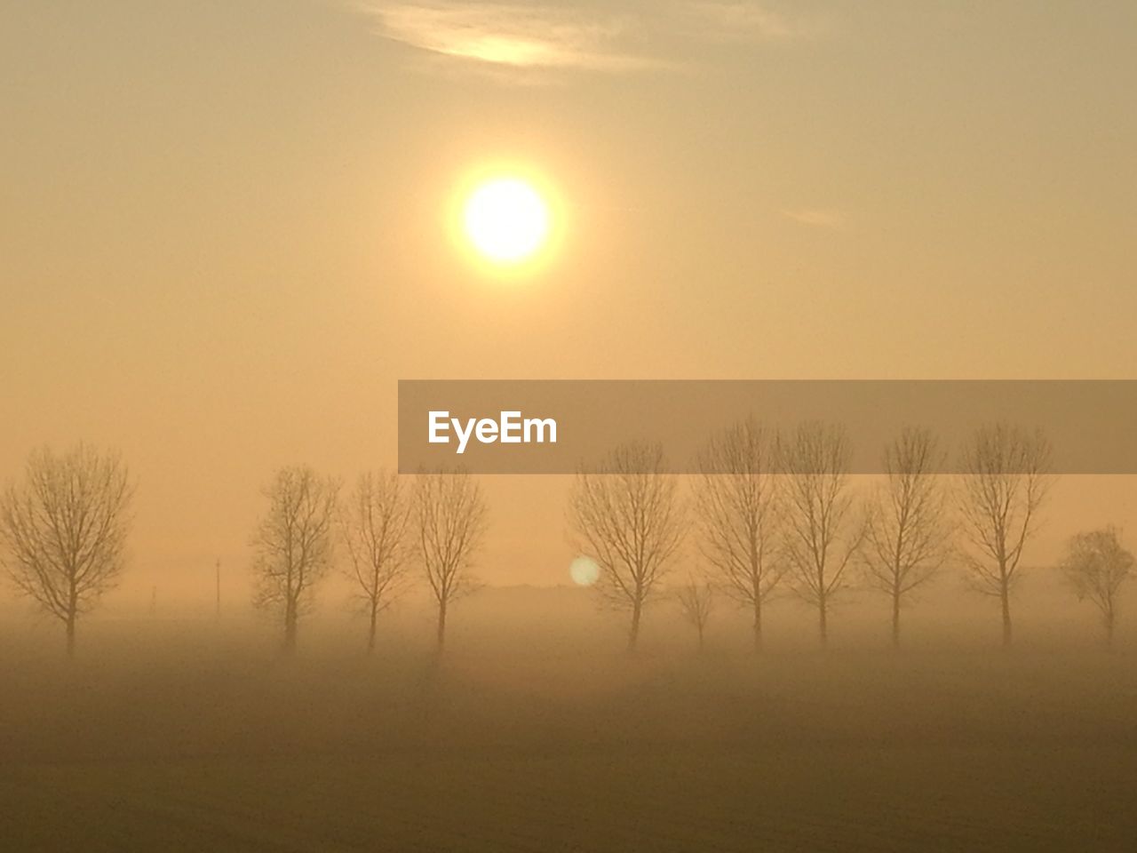 Bare trees on landscape against sky during sunset