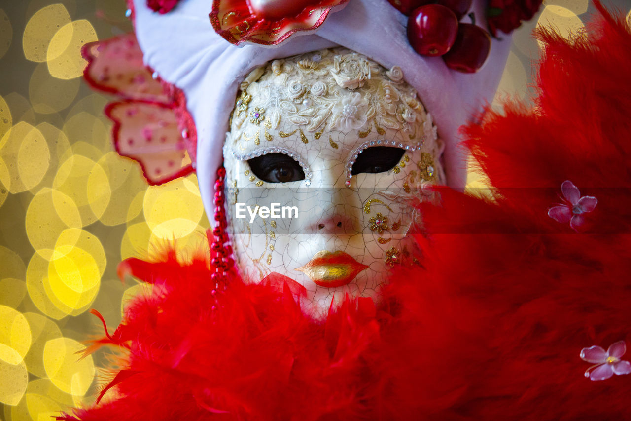 Portrait of person wearing costume during carnival
