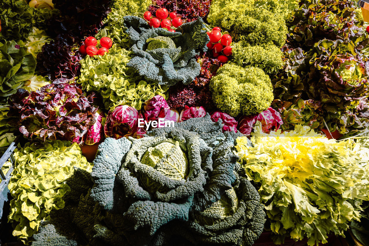 Close-up on vegetables of catania market