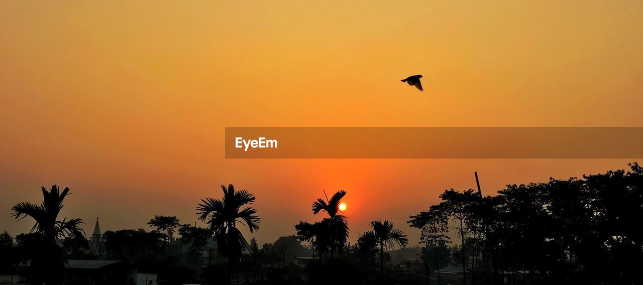 SILHOUETTE BIRD FLYING AGAINST SKY AT SUNSET