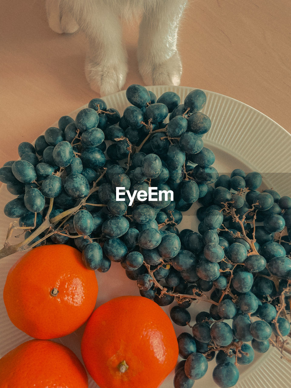 food, food and drink, fruit, healthy eating, orange color, plant, wellbeing, produce, freshness, citrus fruit, no people, indoors, orange, tangerine, grapefruit, clementine, still life, carnivore, nature, large group of objects, table