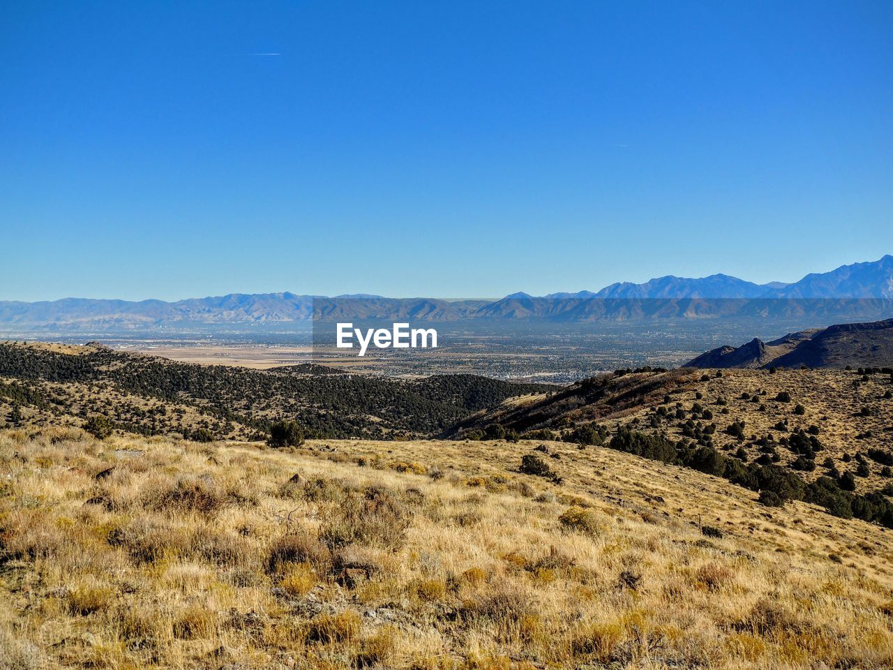 SCENIC VIEW OF LANDSCAPE AGAINST CLEAR SKY