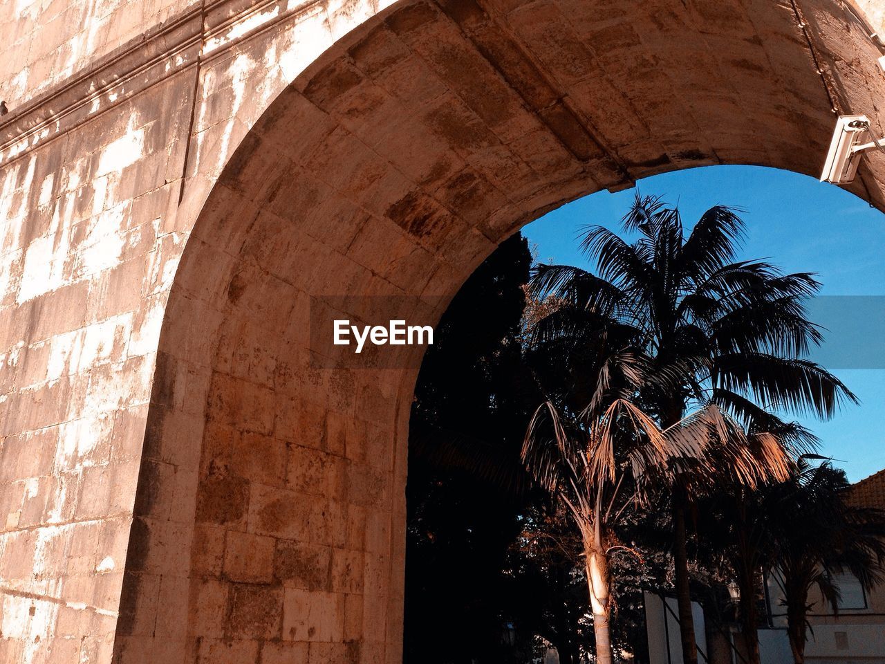 Low angle view of palm trees seen through archway