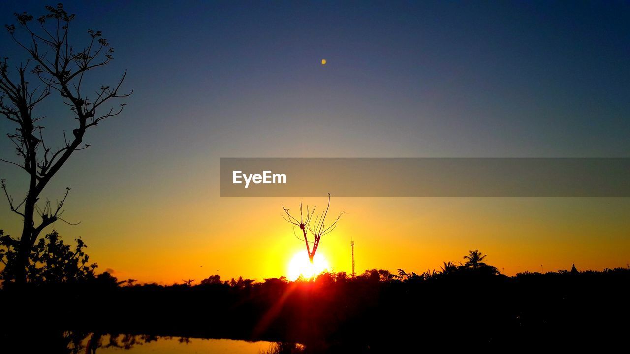 SILHOUETTE TREES ON FIELD AGAINST SKY AT SUNSET