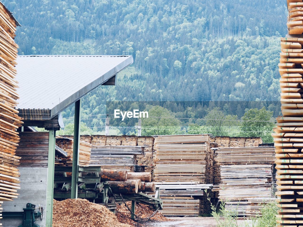 Stack of wooden house by trees in forest