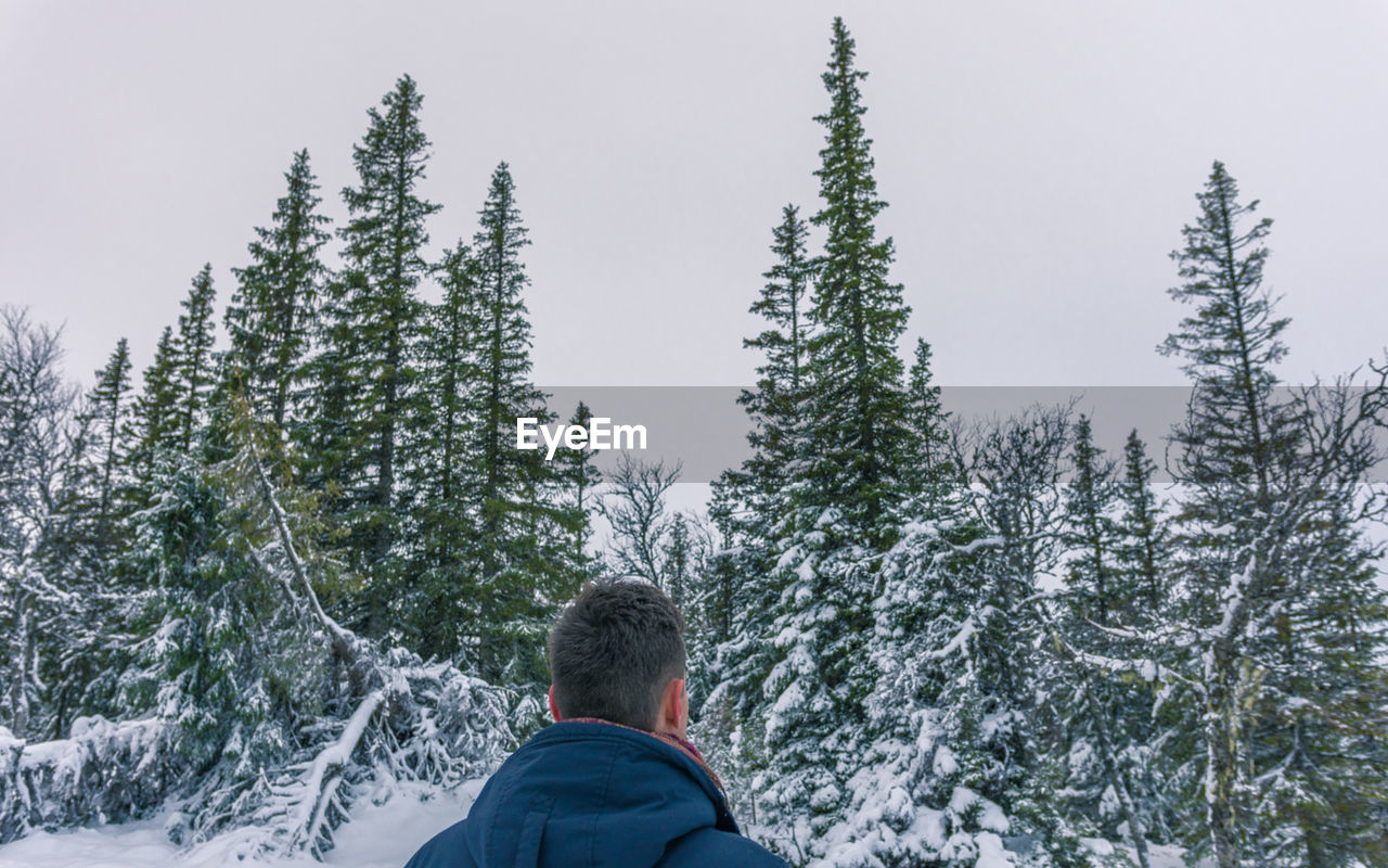 Rear view of man against trees during winter