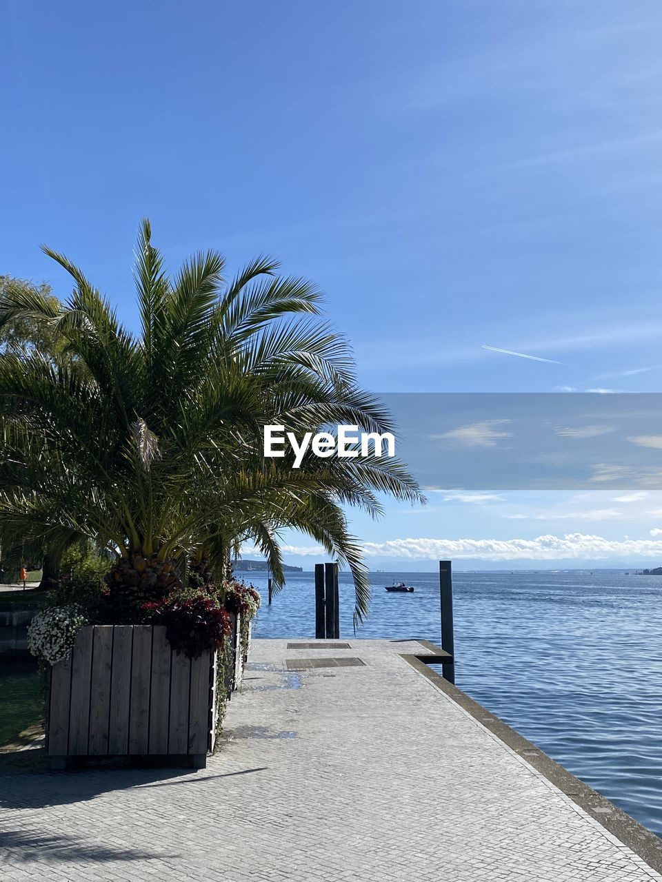 SCENIC VIEW OF PALM TREES ON BEACH AGAINST SKY