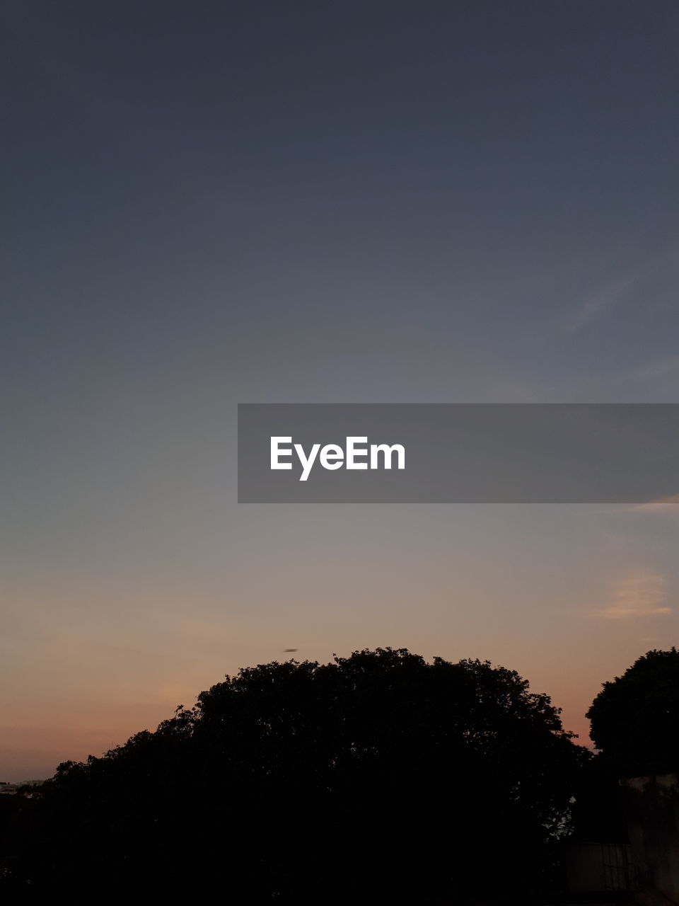 LOW ANGLE VIEW OF SILHOUETTE TREES AGAINST SKY DURING SUNSET