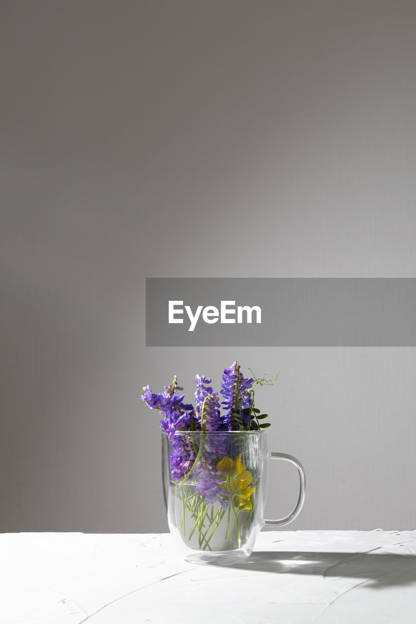 Beautiful small meadow bouquet in a transparent mug on a white-gray background. minimalism