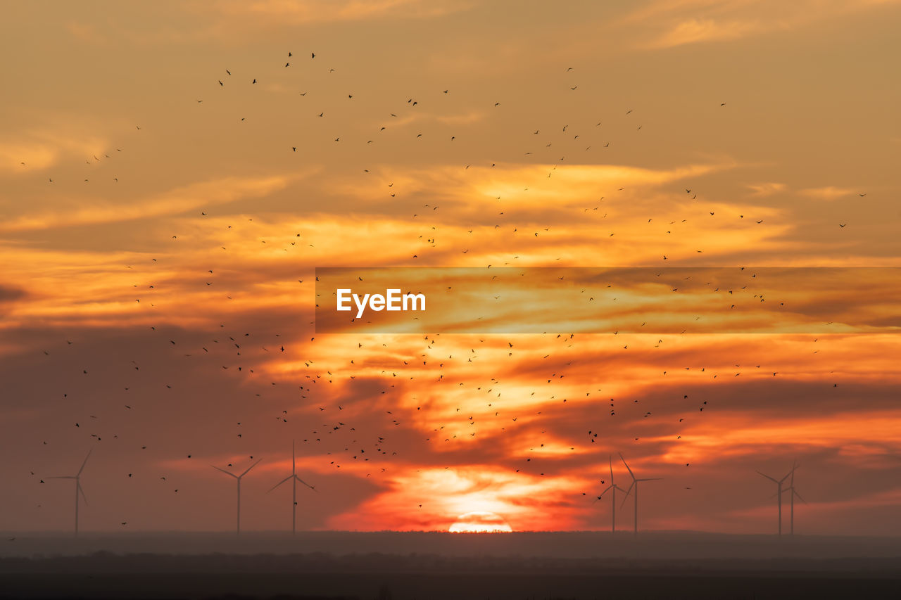 Scenic view of wind power plant against sunset and flock of birds.