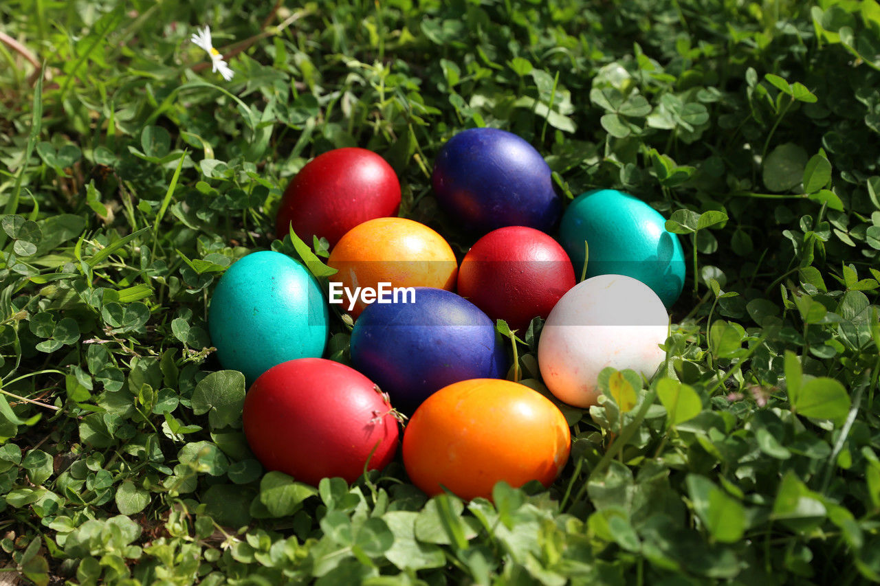 high angle view of multi colored easter eggs on grass