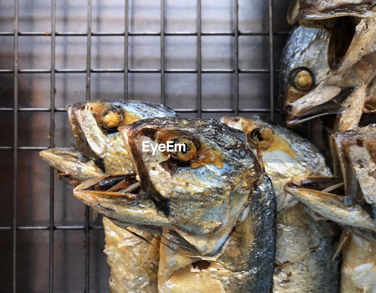 CLOSE-UP OF DEAD FISH ON METAL