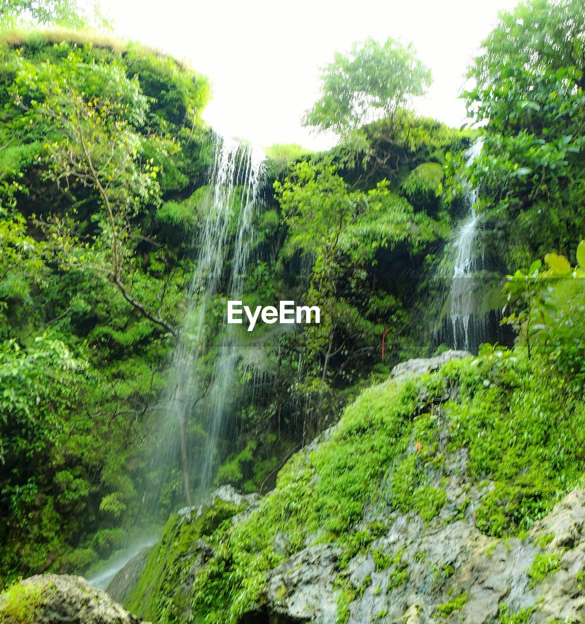 WATERFALL IN FOREST