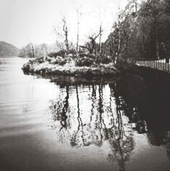 SCENIC VIEW OF LAKE