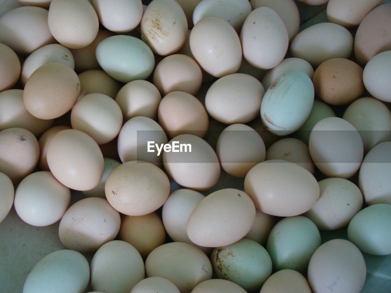 Full frame shot of eggs