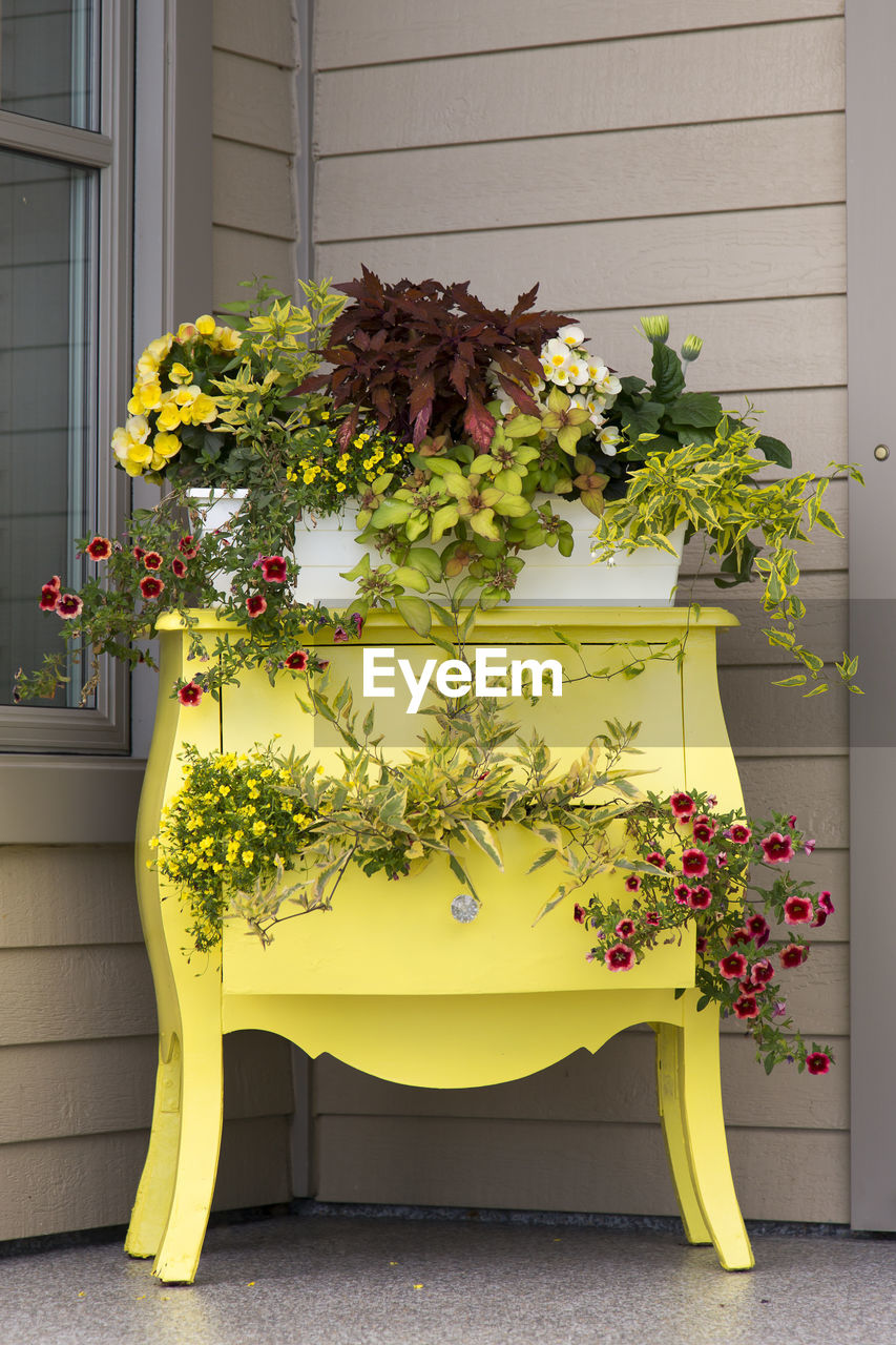 Old two drawer wooden chest painted yellow and upcycled as a planter on a front porch in summertime