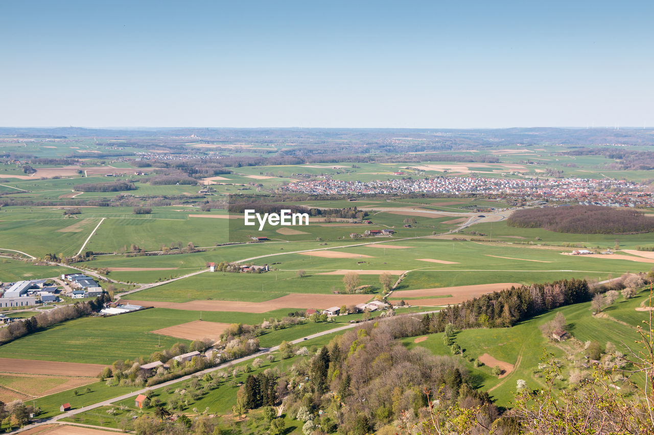 Scenic view of agricultural field against clear sky